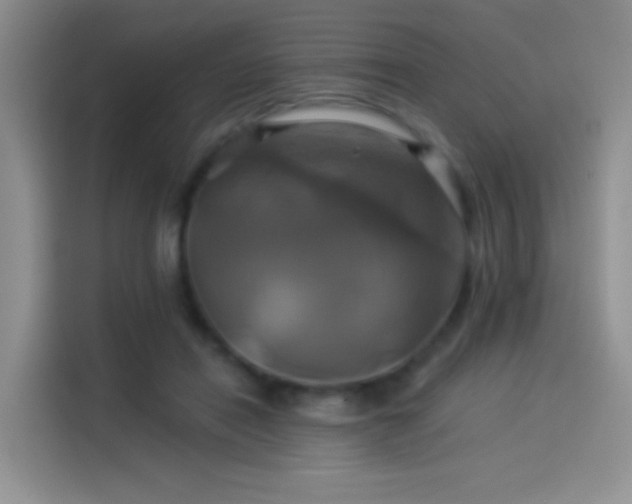 X0000114100454200910131326