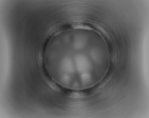 X0000114100455200910131326