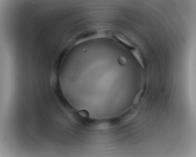 X0000114100456200910131326