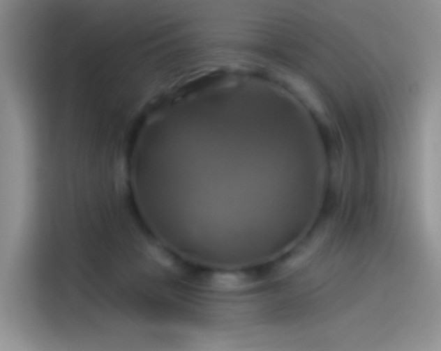 X0000114100457200910131326