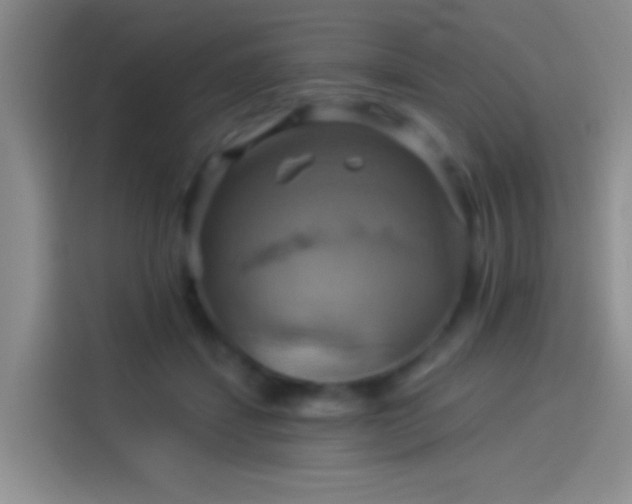 X0000114100459200910131326