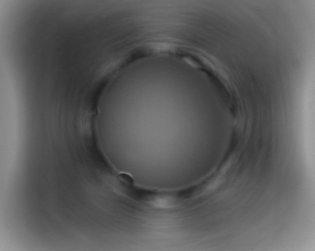 X0000114100462200910131326