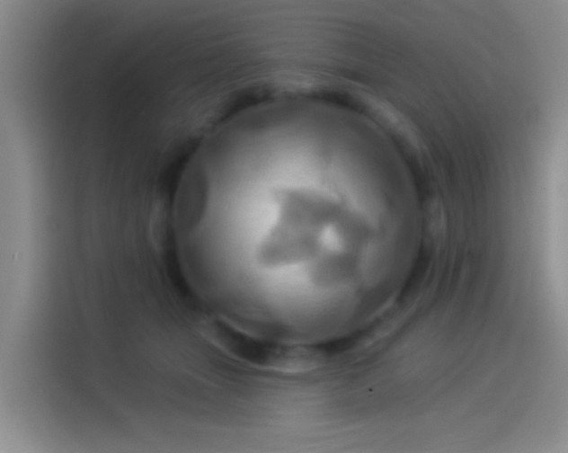 X0000114100463200910131326