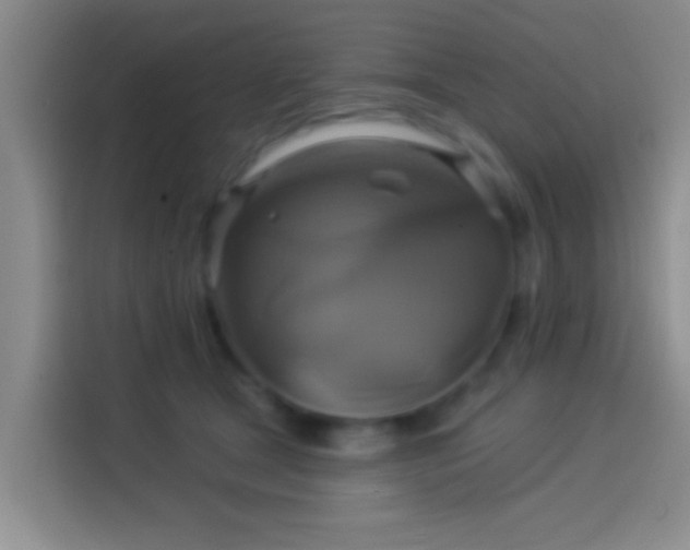 X0000114100465200910131326