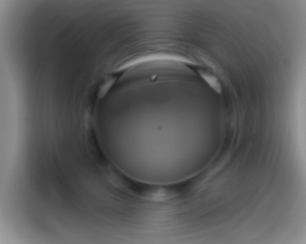 X0000114100467200910131326