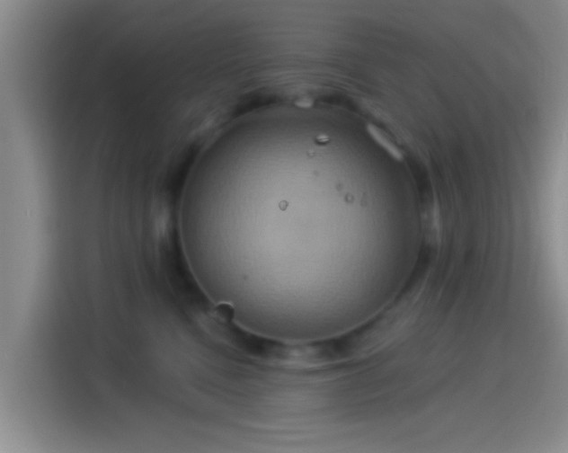 X0000114100472200910131326