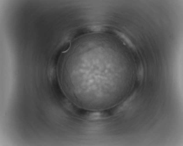 X0000114100473200910131326