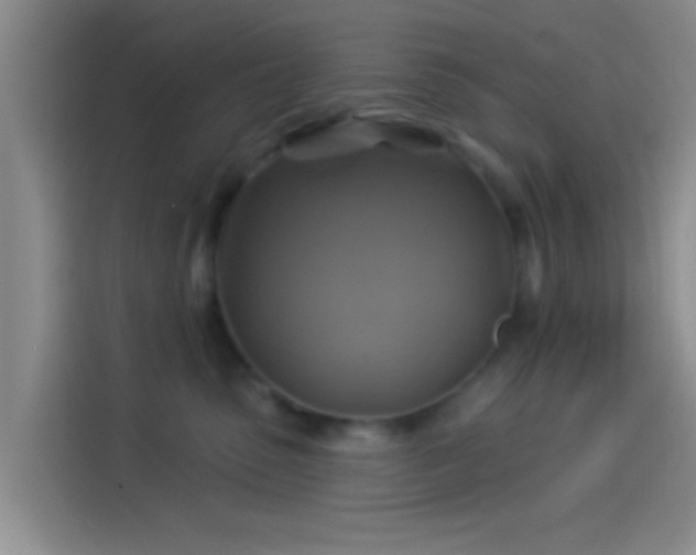 X0000114100475200910131326