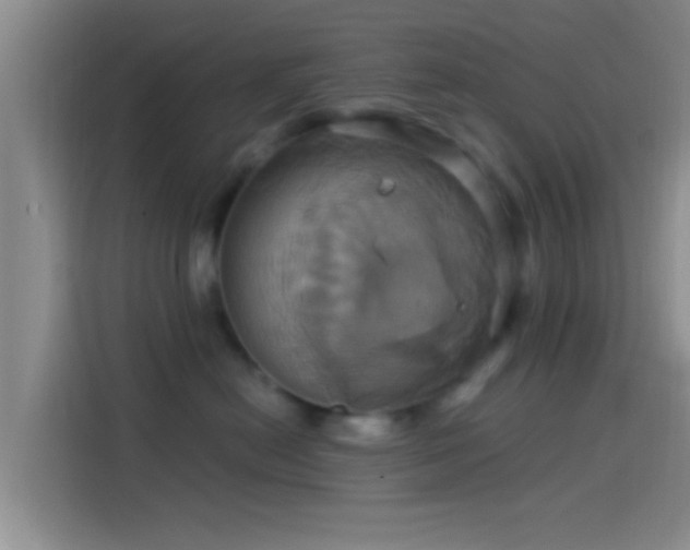 X0000114100478200910131326