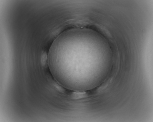 X0000114100480200910131326