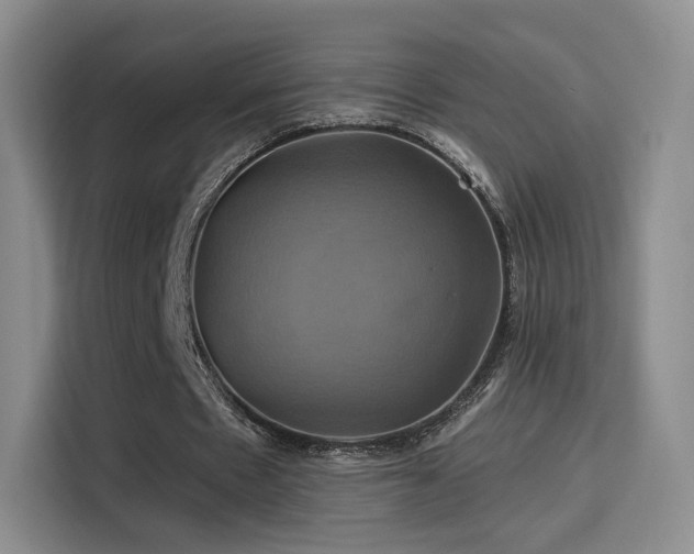 X0000114100481200910131325