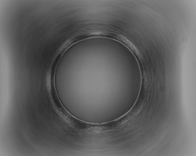 X0000114100482200910131325