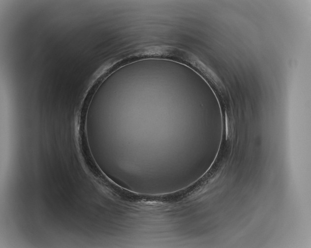 X0000114100483200910131325