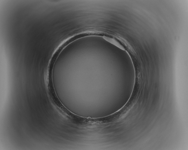 X0000114100484200910131325