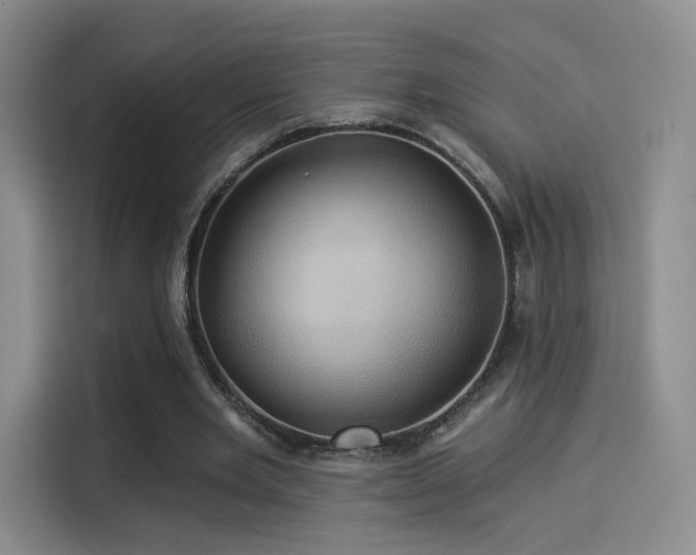 X0000114100485200910131325