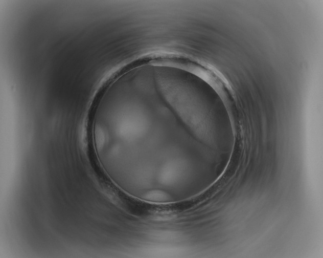 X0000114100487200910131325