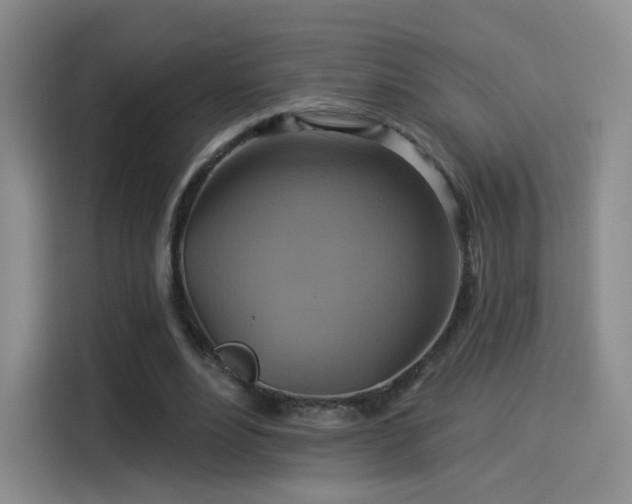 X0000114100488200910131325