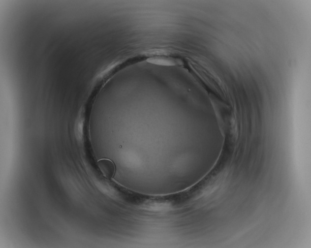 X0000114100491200910131325