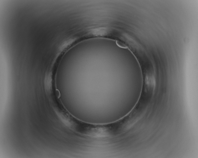 X0000114100492200910131325