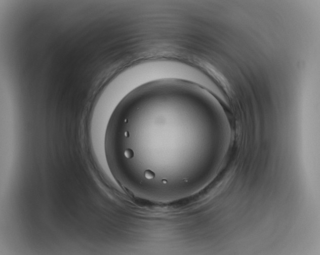 X0000114100493200910131325