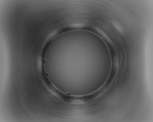 X0000114100494200910131325