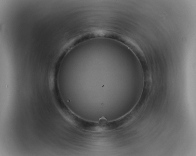 X0000114100496200910131325