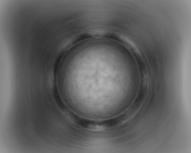 X0000114100498200910131325