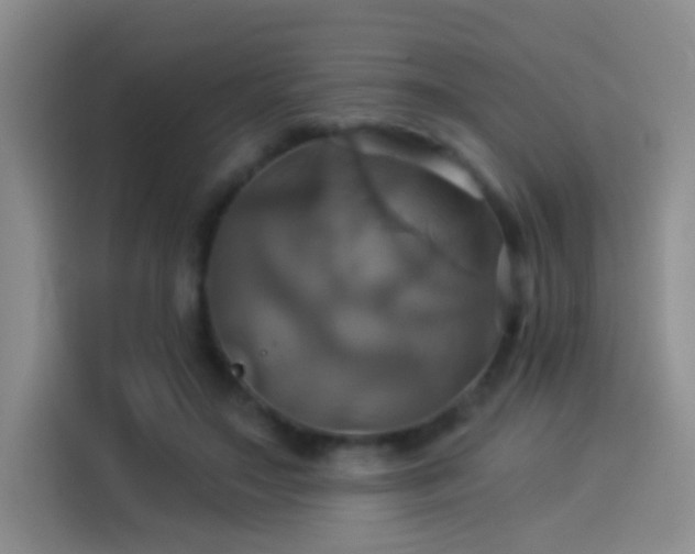 X0000114100499200910131325