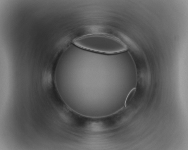 X0000114100500200910131325