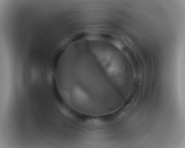 X0000114100503200910131325