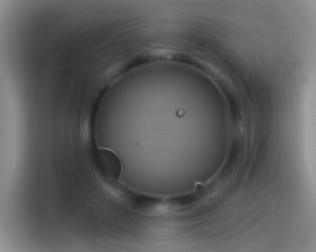 X0000114100504200910131325