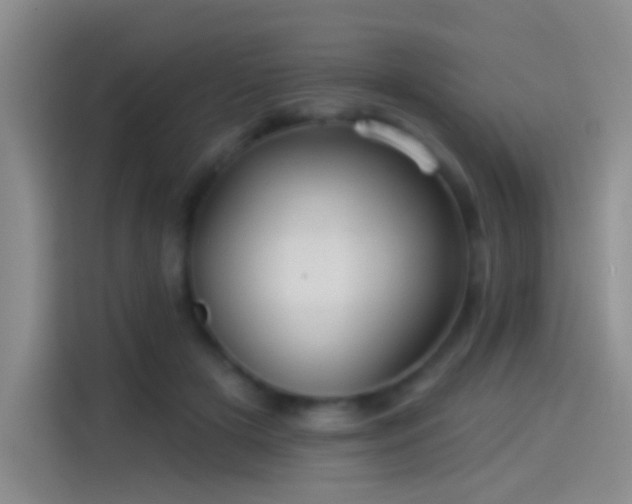 X0000114100505200910131325