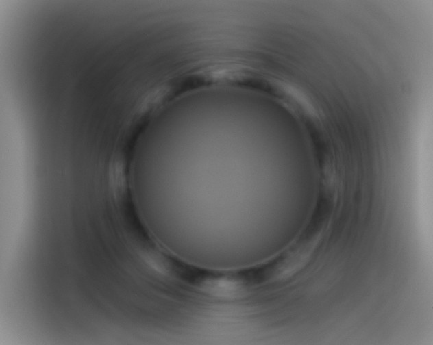 X0000114100506200910131325