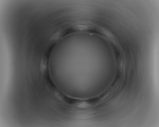 X0000114100507200910131325