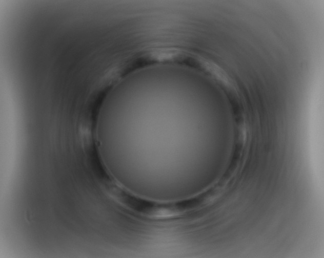 X0000114100510200910131325