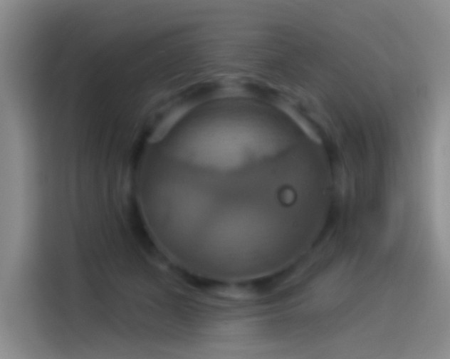 X0000114100511200910131325