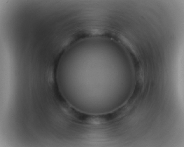 X0000114100512200910131325