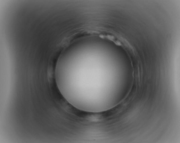 X0000114100513200910131325