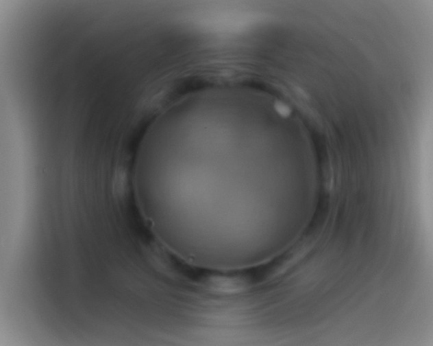 X0000114100515200910131325