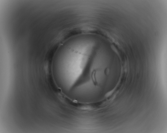 X0000114100519200910131325