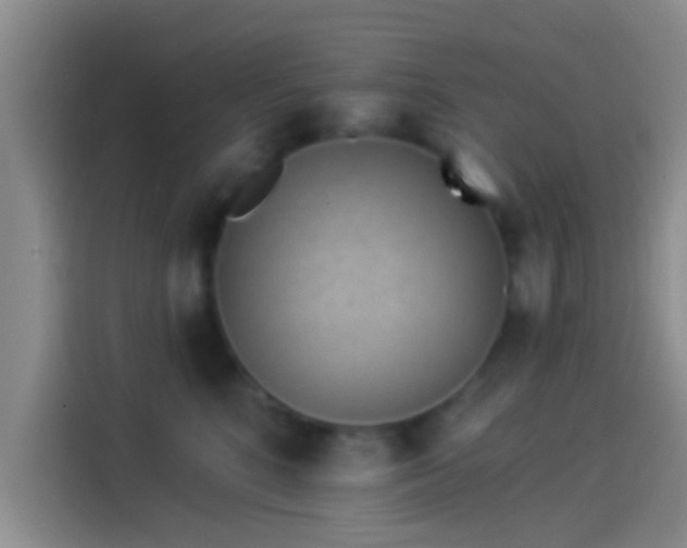 X0000114100520200910131325