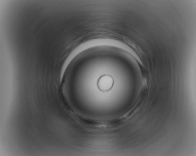 X0000114100521200910131325