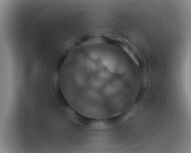 X0000114100523200910131325