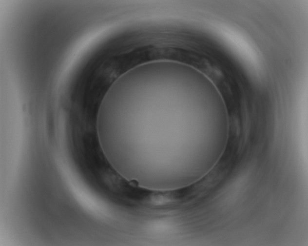 X0000114100526200910131325