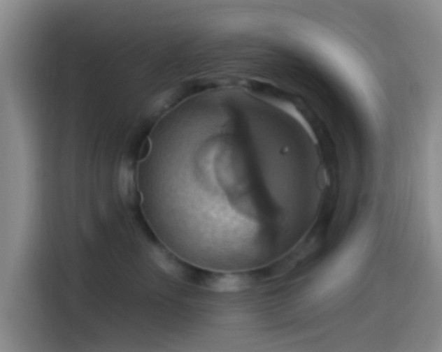 X0000114100527200910131325