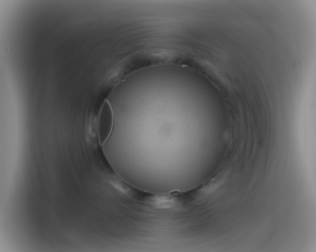 X0000114100528200910131325