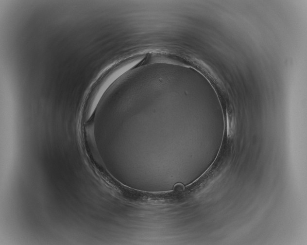 X0000114100531200910131324