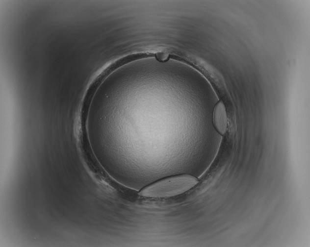 X0000114100532200910131324