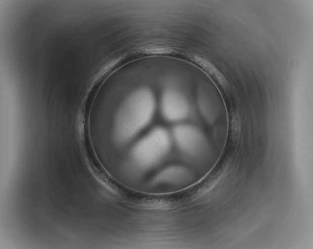 X0000114100533200910131324