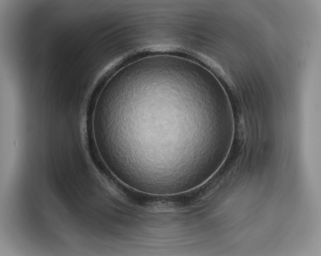 X0000114100535200910131324